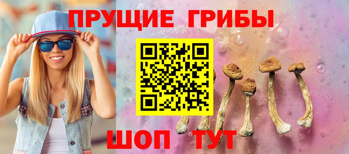 Псилоцибиновые грибы ЛСД  Вход с VPN  Галлюциногенные грибы ЛСД  Новочеркасск 