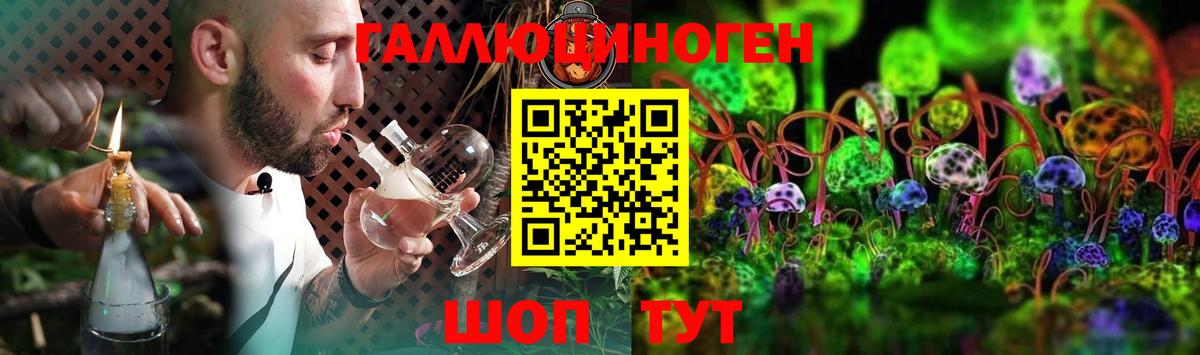 Галлюциногенные грибы Psilocybine cubensis Новочеркасск